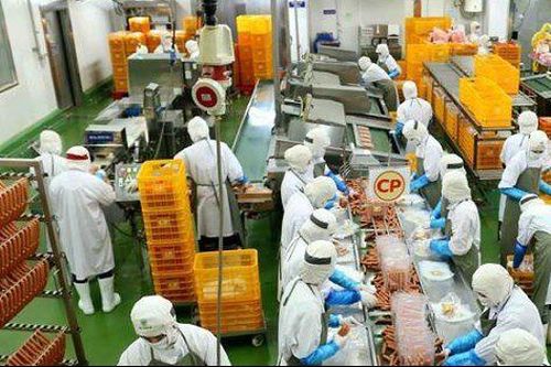 C.P. Việt Nam mang về 68.000 tỷ doanh thu trong 9 tháng đầu năm 2024