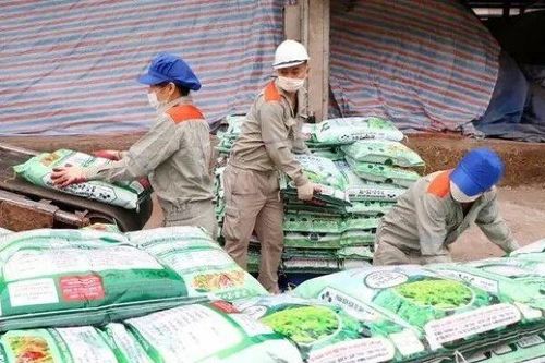 Sẽ xin ý kiến đại biểu Quốc hội áp thuế VAT với phân bón 5% hoặc 2%