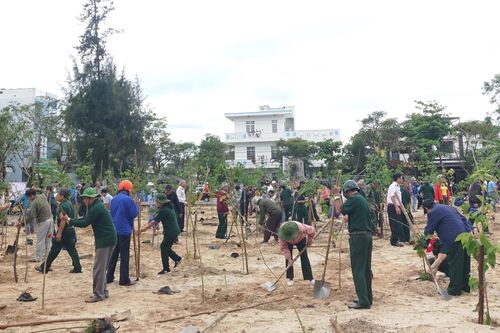 Tích cực trồng, chăm sóc cây xanh