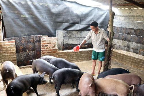 Đồng hành với người dân nơi 'phên giậu' Tổ quốc