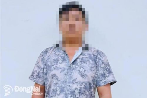 Tạm giữ hình sự tài xế gây tai nạn khiến nữ sinh đi xe đạp điện tử vong tại huyện Long Thành sáng 25-11