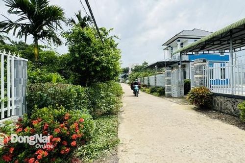 Xuân Lộc đặt mục tiêu cao trong năm 2025