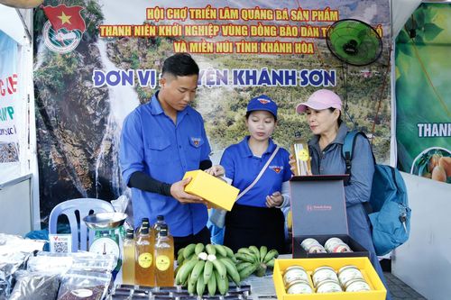 Khởi nghiệp trên đất quê hương