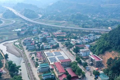 Sức vươn Cam Đường