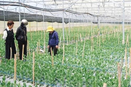 Đa dạng hóa nguồn lực xây dựng nông thôn mới