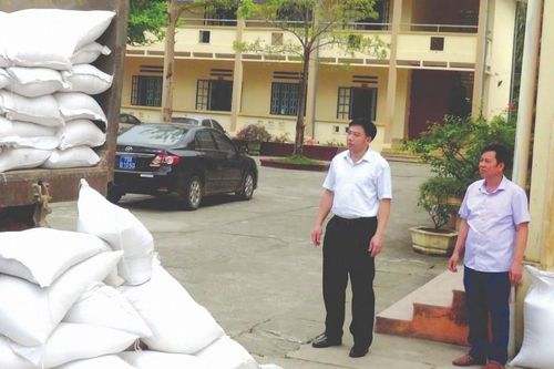 Phú Thọ là một trong 4 tỉnh miền núi hoàn thành hỗ trợ gạo cho học sinh nghèo trong học kỳ I