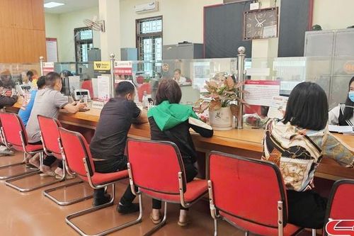 Agribank Thuận Châu đồng hành cùng nông dân phát triển kinh tế