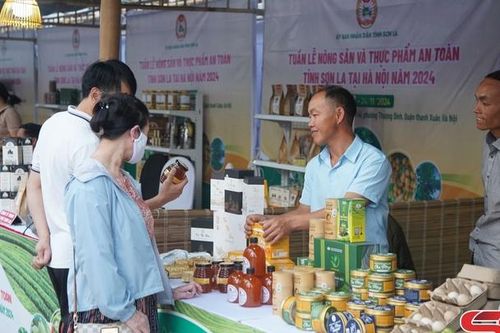 Nông sản Sơn La tại Thủ đô Hà Nội