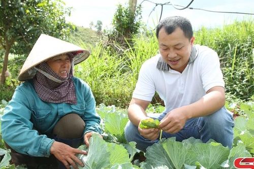 Sẵn sàng cung ứng thực phẩm, nông sản dịp Tết