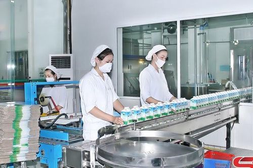 Khẳng định thương hiệu Mộc Châu Milk