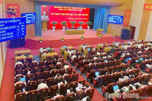 Nghị quyết về việc chuyển mục đích sử dụng đất trồng lúa, đất rừng sản xuất để thực hiện các dự án năm 2024 trên địa bàn tỉnh Tuyên Quang