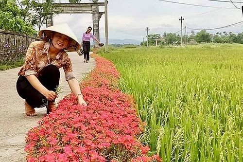 Triệu Phong (Quảng Trị): Tổng nguồn lực huy động xây dựng nông thôn mới đạt trên 1.608 tỷ đồng