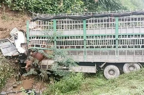 Xe tải chở 30 con bò mất lái lao xuống chân đồi, tài xế tử vong tại chỗ