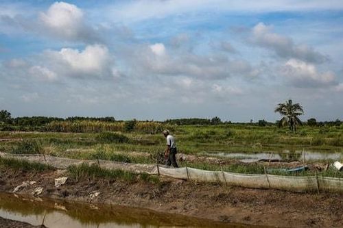 Nâng cao năng lực và nhận thức để sẵn sàng điều chỉnh trước những thay đổi của khí hậu