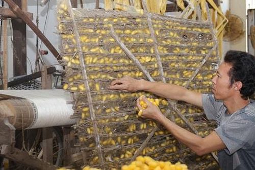 Mỹ Đức thúc đẩy phát triển sản phẩm OCOP
