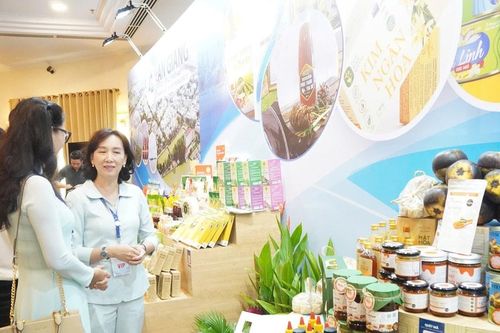 Các dự án của tỉnh An Giang sẽ được giới thiệu trong chương trình xúc tiến đầu tư quốc gia