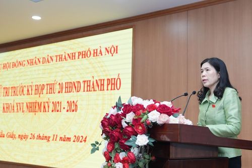 Cử tri Cầu Giấy kiến nghị nhiều nội dung về công tác quản lý đô thị
