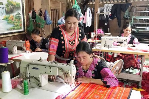 Hòa Bình thu hoạch 'mùa vàng' từ liên kết sản xuất
