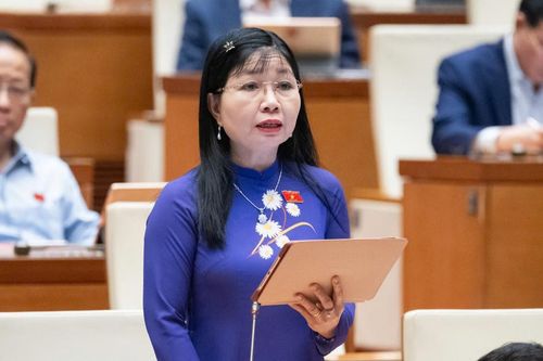 ĐBQH đề xuất cơ chế phối hợp trong tiếp nhận, xử lý, giám sát khiếu nại, tố cáo