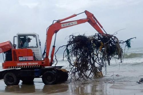 Một ngày, hơn 100 công nhân bở hơi tai thu gom 500 tấn rác thượng nguồn đổ về các bãi biển Đà Nẵng