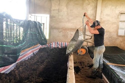 Nuôi trùn quế - chăn nuôi gà đặc sản đẻ trứng bán giá cao