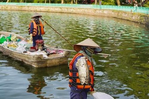 Hồ Tây ô nhiễm từng ngày, dự án nạo vét trăm tỷ 'nằm im' trên giấy suốt 6 năm