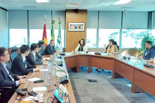 Petrovietnam làm việc với Tập đoàn Dầu khí Quốc gia Brazil