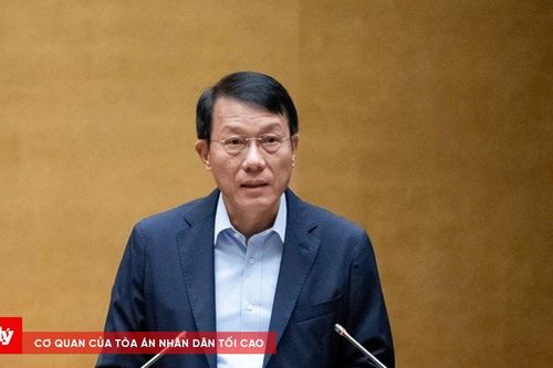 Năm 2024, một số loại tội phạm tăng mạnh