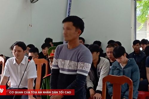 Lãnh án vì sử dụng giấy phép lái xe giả