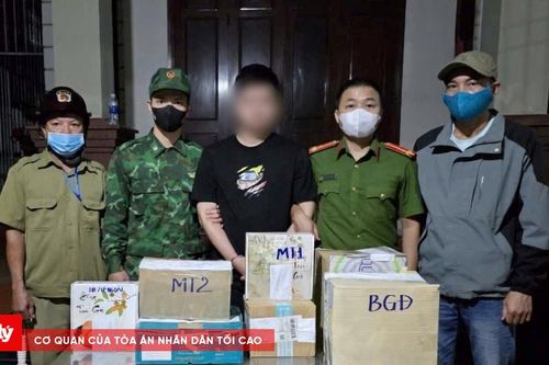 Khởi tố 2 vụ án 'Tàng trữ trái phép chất ma túy'