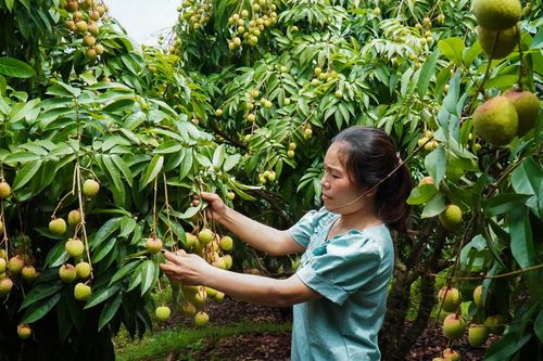 Nỗ lực vượt bậc giúp Khánh Sơn thoát khỏi danh sách huyện nghèo