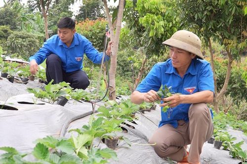 Đưa thông tin lên vùng khó, giúp người dân vươn lên thoát nghèo