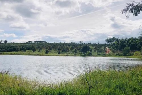 Rủ nhau ra hồ tắm, một học sinh lớp 6 đuối nước thương tâm ở Gia Lai