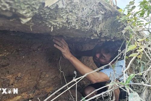 Quảng Trị: Đê bao Cựu Vĩnh Định xuống cấp nghiêm trọng sau các đợt mưa lũ