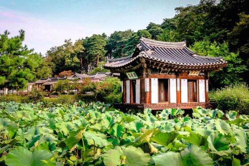Năm thành phố đáng khám phá của Hàn Quốc ngoài Thủ đô Seoul