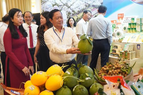 An Giang kêu gọi, xúc tiến đầu tư tại TP Hồ Chí Minh