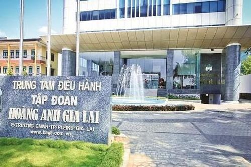 Anh trai Thành viên Hội đồng quản trị HAGL muốn thoái toàn bộ vốn