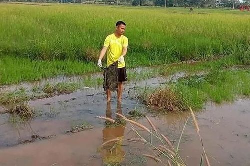 Đi cày ruộng, người đàn ông tìm thấy thứ đáng sợ trên cánh đồng
