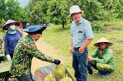 Bầu Đức mời cổ đông 'mục sở thị' chuối và sầu riêng