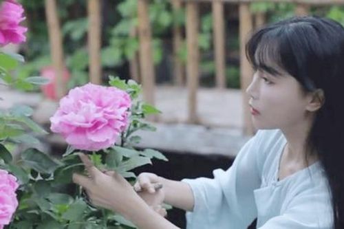 Lý do 'tiên nữ đồng quê' Lý Tử Thất 34 tuổi vẫn còn độc thân?