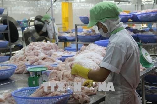 Đưa kỹ thuật mới vào khai thác tiềm năng hải sản nước mặn