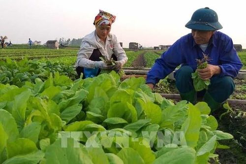 Đầu tư toàn diện, tạo luồng sinh khí mới cho các vùng quê