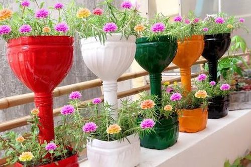 Sáng tạo với 5 món đồ tái chế tại gia