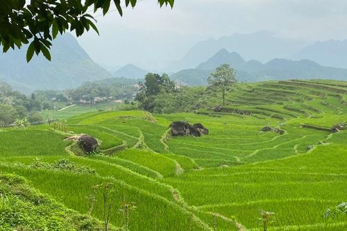 Quy định hạn mức giao đất nông nghiệp do tự khai hoang
