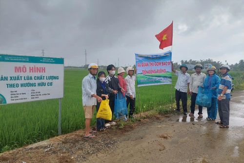 Để những cánh đồng thêm xanh