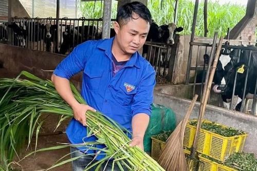 Khởi nghiệp từ sức trẻ