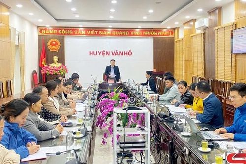 Đăng ký bảo hộ, xây dựng nhãn hiệu chứng nhận 'Măng Vân Hồ'