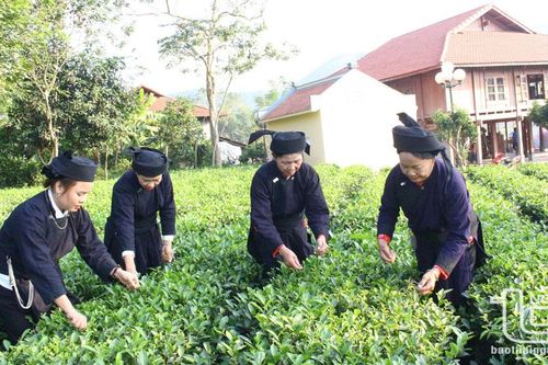 Người Tân Đô giữ gìn bản sắc văn hóa dân tộc