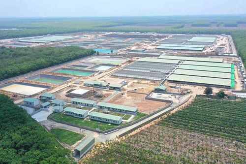 BaF Việt Nam (BAF) đẩy mạnh M&A, dự chi 3.000 tỷ đồng để xây thêm loạt trang trại