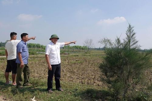 Thanh Hóa: Sẽ có giải pháp cụ thể trong quy hoạch khu xử lý rác tại Yên Định